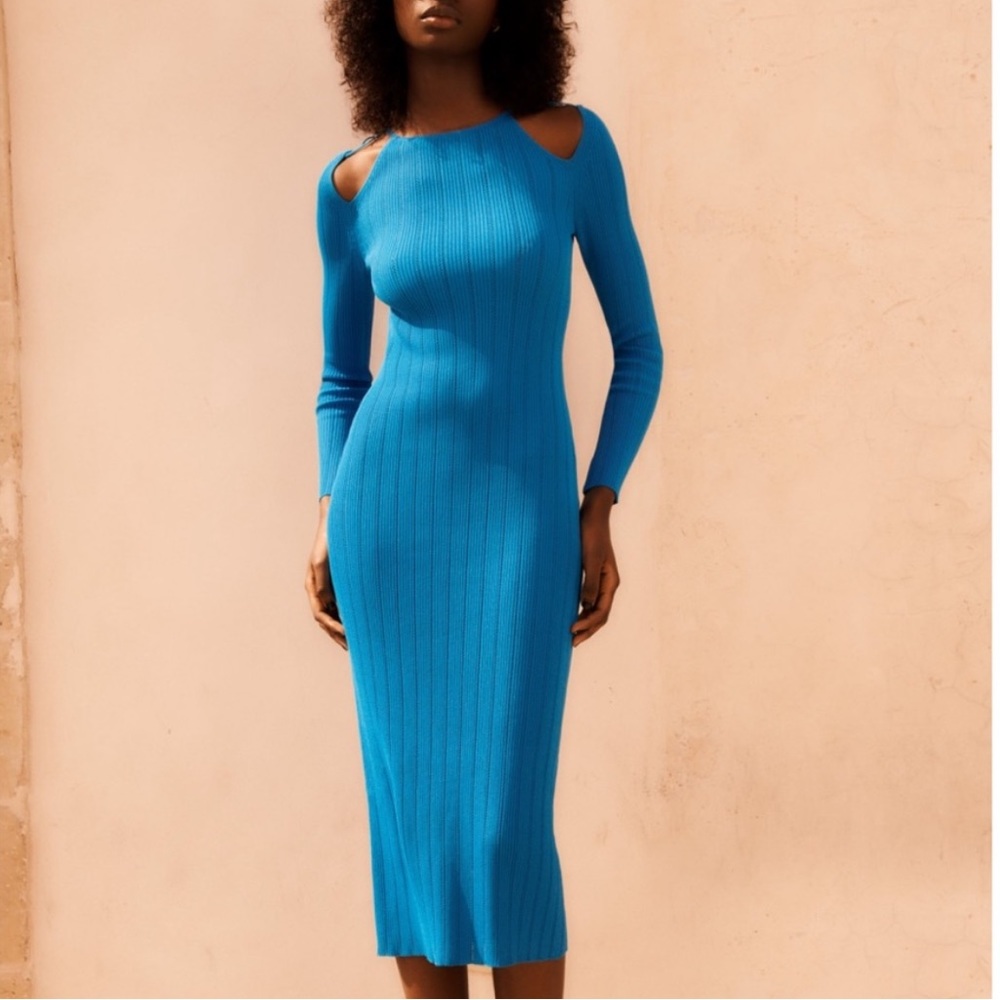 Zara Knit Cut Out Midi Dress